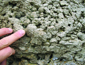 Zechstein of North East England